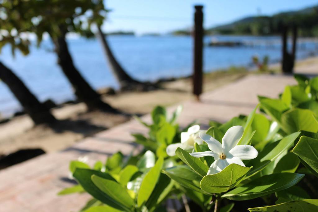 Fare Vai Nui Hotel Tevaitoa Kültér fotó
